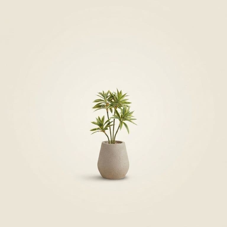 COCO 20CM + PLANTE