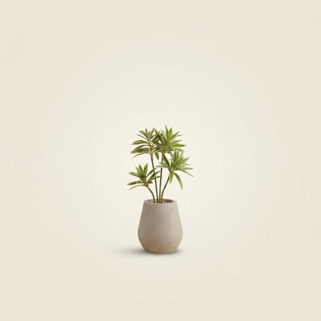 COCO 20CM + PLANTE
